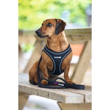 Köpek Göğüs Tasması, Neopren, Siyah, S, 38-44CM