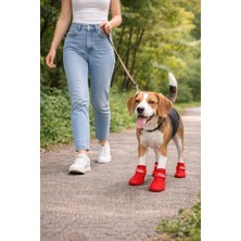 Köpek Ayakkabısı 4’lü Set Su Geçirmez Kaymaz Tabanlı Köpek Botu Küçük Orta Irk Köpekler Için Koruyucu Patik Yağmur Kar Çamur Için Dayanıklı Evcil Hayvan Ayakkabısı Kırmızı (Small)
