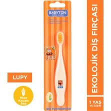 Babyton Ekolojik Diş Fırçası Lupy