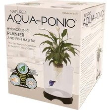 Penn-Plax Aqua-Ponic Betta Tankı ve Hidroponik Bitki Saksısı, Bitkiler ve Balıklar Için Sağlıklı Bir Ortam Sağlar