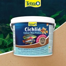 Yem Cichlid Mini 10 Litre