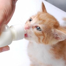 Yavru Kedi Köpek Biberonu 2 Emzikli 50 ml (1 Adet)