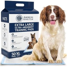 Kennel Club 50 Adet X-Large Antrenman Pedleri, 76,2 cm x 76,3 cm