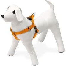 Kilitli Göğüs Tasma, Köpek, L, 60-90 Cm, Turuncu