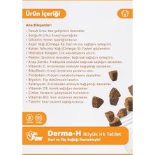Derma H Plus/deri ve Tüy Sağlığı Destekleyici Premium Tablet (60 ADET/120GR)