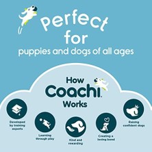 Of Animals Coachi Tuvalet Eğitim Çanları Lacivert ve Açık Mavi