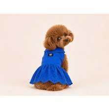 Alphadog Fisto Blue Küçük Irk Köpek Elbisesi