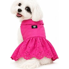 Alphadog Fisto Pink Küçük Irk Köpek Elbisesi