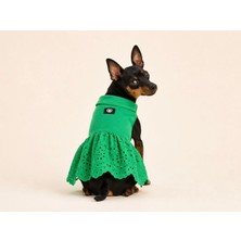 Alphadog Fisto Green Küçük Irk Köpek Elbisesi
