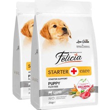 Felicia Hipoalerjenik Kuzulu Küçük ve Orta Irk Düşük Tahıllı Yavru Köpek Maması 3kg x 2 Adet