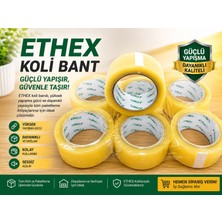 Ethex Koli Bandı 6'lı 45 x 100 Akrilik