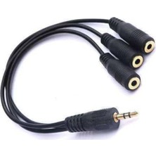 Renas Store 3,5mm Stereo Erkek- 3lü Stereo Dişi- 38CM
