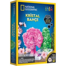 Renas Store NAT00002 National Geographic Kristal Bahçe Kiti - Trcrysgrdn +8 Yaş