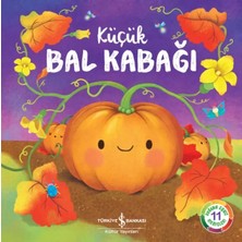 Renas Store Küçük Bal Kabağı - Doğanın Eşsiz Hikayeleri 11