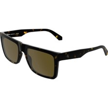 Calvin Klein CKJ26601S-242 Güneş Gözlüğü