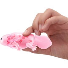 Renas Store Mey Ithalat® Yüzen Axolotl