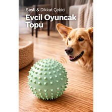 Yenilig Sesli Dikenli Evcil Hayvan Oyuncak Topu | Dikkat Çekici & Dayanıklı Oyun Topu Çok Renkli