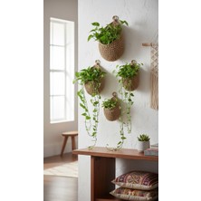 Jüt Home Jüt Hasır Duvar Sepeti / Saksı / Poşetlik  4'lü Set