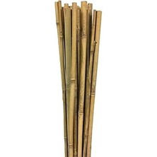Belirtilmemiş Gardener 163702 Bambu Destek Çubuğu 10'lu - 6-8 mm x 60 cm