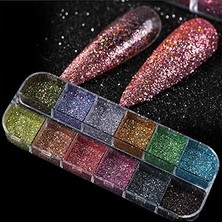 Belirtilmemiş 12'li Glitter Seti Makeup Nail Resin Kalıcı Oje Protez Tırnak Süsleme Göz Makyajı, Hbsu