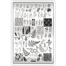 Belirtilmemiş Takida Stamping Baskı Plakası Xl Doğa 03