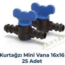 Bahyap Kurtağzı Mini Vana 16X16 (25 Adet)