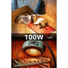 Renas Store 100W Kızılötesi (Infrared) Isıtıcılı Hayvan Isıtma ve Kuluçka Lambası (Kırmızı Işık) E27 (Kalın Duy