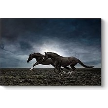 Nacario Tabloshop Koşan Siyah Atlar 125 x 80