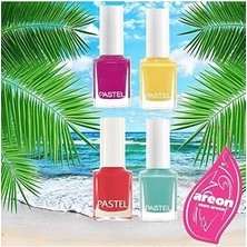 Nacario Pastel Oje 4'lü 98-287-295-304 + Areon Mon Asma Koku