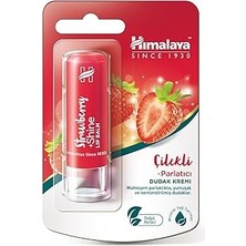 Nacario Himalaya Parlatıcı Dudak Kremi, Lip Balm, Çilek, Kayısı Çekirdeği Yağı, NEMLENDIRICI,%100 Doğal Ren