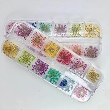 Nacario Fontenay Nail Gerçek Kuru Süsleme Çiçekleri(12'li) Protez Tırnak Renkli
