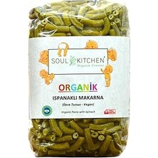 Nacario Soul Organik Ispanaklı Makarna 330 gr (Ilave Tuzsuz) (Vegan)
