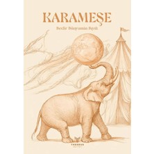 Theseus Yayınevi Karameşe