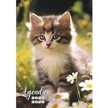 Nacario Independently Published Agenda Scolaire: Agenda Journalier | Jour Par Page | 12X17 cm Format Sta