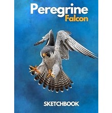 Nacario Peregrine Falcon Sketchbook Large Sketchbook For Drawing 8.25 x 11 Inch (21.59 x 27.94 Cm) 200 Page
