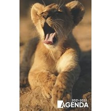 Nacario Agenda 2021 2022: Organiseur Scolaire (Août 2021 / Juillet 2022) Pour Étudiants Collège, Lycée – Pl