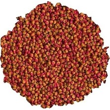 Nacario Tetra Cichlid Colour Mini 250GR - Kovadan Bölme