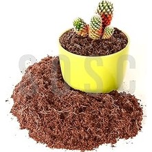 Nacario Hindistan Cevizi TORFU%100 Doğal Torf - Cocopeat Hindistan Cevizi Lifi - Doğal Bitki Toprağı 10 Lt