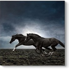 Nacario Tabloshop Koşan Siyah Atlar 40 x 40