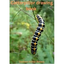 Nacario Independently Published Catterpillor Drawing Notebook