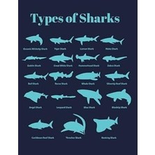 Nacario Types Of Sharks: Blank Shark Sketchbook (Drawing Pad Notebook) (8.5 x 11 Large)