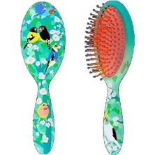 Nacario Pylones Ladypop Pm Birds Saç Fırçası
