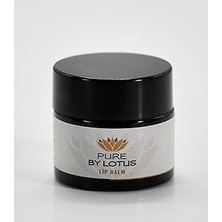 Nacario Doğal Lip Balm 10 ml
