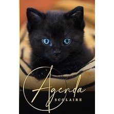 Nacario Agenda Scolaire Chat: Organiseur Journalier | Une Page Par Jour | Collège Fille, Garçon, 6ème 5ème