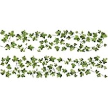 Nacario Roommates 27 x 12,7 x 2,3 cm "klettern Ivy" Duvar Çıkartması Tekrar Kullanılabilir