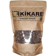 Nacario Ikikare Sukulent Toprağı 1,5 Lt