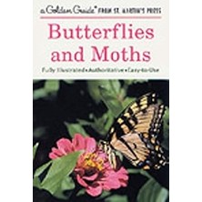 Nacario Butterflies And Moths: A Fully Illustrated, Authoritative And Easy-To-Use Guide