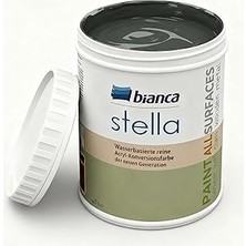 Nacario Bianca Stella Su Bazlı Saf Akrilik Boya Antrasit Gri