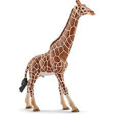 Nacario Schleich Erkek Zürafa Figürü