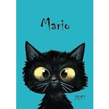 Nacario 2017: Mario - Kalender - Din A5 - Katze
